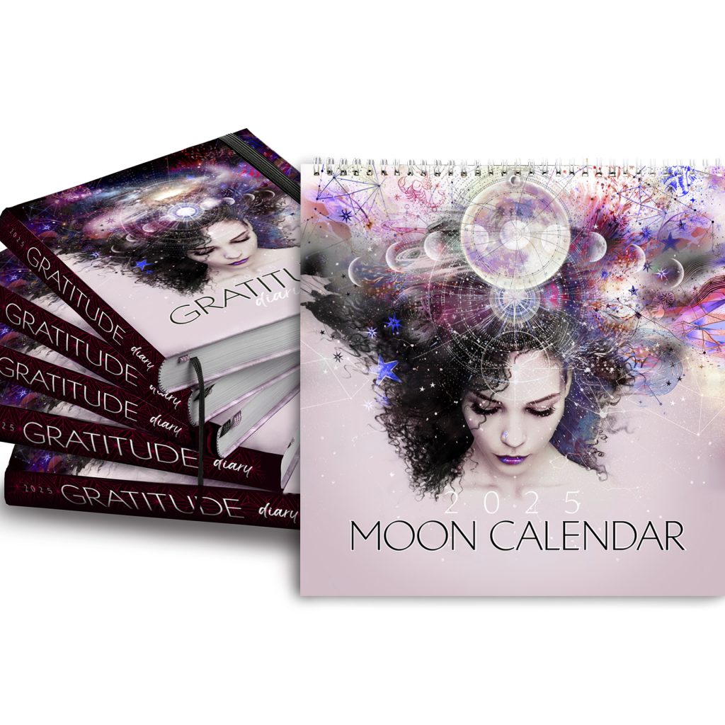 2025 calendar diary bundle